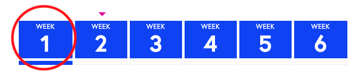 progress_week_numbers.png